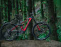 Das X0 ist das Topmodell im Transition Lineup. Hier gibt's ein Ultimate Fahrwerk und Alu-Laufräder von Crankbrothers. Beide Ausstattungsvarianten gibt es mit roten und schwarzen Decals.