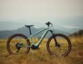 Without additional attachments for urban use, the Liv Tempt E+ focusses on touring in light terrain. Price: 2599 euros.