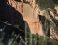 Red rocks like in Utah and mountain meadows like in Grindelwald - that's how beautiful the Romanian Carpathians are.