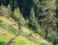 An institution in the region for years: the Fleckalm Trail.