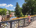 Geraniums, palm trees and magnificent buildings - the drive through the Luitpoldpark in Bad Kissingen is a feast for the eyes.