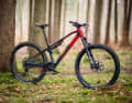 Rotwild R.X 275 Ultra: 15.59 kilos.
