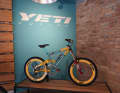 The downhill weapon during the 1995/1996 World Cup season - note the XXL chainring.