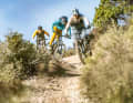 Hunting nimbly and fun over shallow trails is the strength of light trail bikes. Light e-MTBs such as the Haibike (centre) have clear advantages over classic e-MTBs with powerful but heavy motors.
