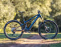 Lightweight all-rounder: Haibike Lyke SE, 18.7 kg, 10999 euros.
