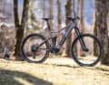 Rose Root Miller 1+ // 4999 euros // Bosch Perf. CX, 625 Wh // 150 mm // 29/27.5 inch