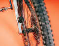Attention to detail: The rear brake mount has been neatly integrated into the seat stay.