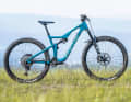 Focus Jam 8.9: 15,6 kg / 152/162 mm / 29"