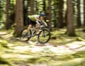 As a race bike with 80 millimetres of travel at the rear and 110 millimetres at the front, the new Trek Supercaliber is made for fast XC courses.