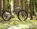 With its semi-integrated shock absorber, the Trek Supercaliber has a high recognition value.