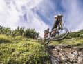 The long-travel suspension forks need to be able to swallow.