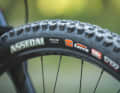 The 2.6 Maxxis tyres provide a lot of comfort. However, sporty riders will want more precise handling, as the ride sometimes feels a little spongy with the wide tyres.
