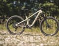 Simplon Rapcon PMax TQ // TQ HPR 50 // 360 Wh, permanently installed // 170/165 mm // 29 inch // 19.9 kg // 10007 Euro