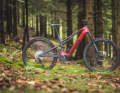 Canyon Neuron:On CF7, 23 kilos