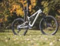 Specialized Levo SL Expert // 160/150 mm // 29/27.5 inches // 18.2 kg // 9900 euros