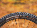 The Maxxis tyres with vulnerable EXO carcass gave way to thicker tyres with double-down carcass.