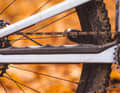 Scor 2030 GX: From the very first few metres off-road, you'll notice how quietly the Scor 2030 flies over rough trails. The reason for this is not only the clean cable routing but also the solid chainstay protector.