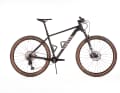 The Canyon Grand Canyon 8 has come out on top in the test for affordable entry-level hardtails.