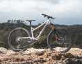 Crossworx Dash 290 / 15.7 kg / 160 and 155 millimetres travel / 29" / 7199 euros / aluminium