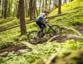 When the climbs get really steep, the rail needs to be ridden a little more actively. The traction at the rear is strong and the Bosch drive is also impressive.