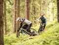 Flowige Wurzeltrails sind das perfekte Areal für das handliche und traktionsstarke Marin Rift Zone E2. Achtung: Fahrspaß en masse!