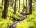 Um mit dem Root Miller über steinige Trails zu poltern, braucht es dennoch ein versiertes Handling, denn das Bike gibt viel Feedback vom Untergrund an den Fahrer weiter.