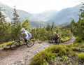 On steep climbs, the Levo SL is at a disadvantage. The motor power and geometry are not designed for extreme climbs.