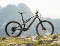 Conway Ryvon St 4.0 // Bosch Performance SX // 400 Wh, removable // 150 mm // 29/27.5 inch // 20 kg // 6000 Euro