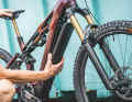 Depending on the model, the down tube contains the new Bosch Powertube 800 or the smaller Powertube 600. Both batteries can be easily used and exchanged in the same frame.