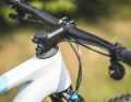 On the new Cube hardtail, the cables are routed through the headset into the frame. The absence of extra inputs saves weight.