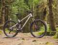 15.6 kg / 150/141 mm / 29" / approx. 6500 Euro, frame 2790 Euro / aluminium