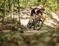 Hardtails are the ideal mountain bikes for riding flat out in an aggressive riding position. But the hardtail design also covers easy-going touring MTBs and children’s bikes.