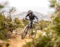 Front wheel-orientated position and good control on climbs.