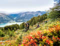 An absolute must at Lake Reschen: the three-country enduro circuit with the support of four lifts.