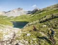 Die meisten Trails haben es hier nicht eilig ins Tal zu kommen. Sie spielen mit allem, was das Gelände hergibt.