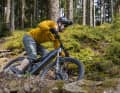 Downhill, the No Pogo R7000 strikes a good compromise between smoothness and agility.