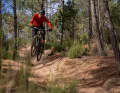 Instead of uncompromisingly going for it, the eOne-Sixty SL is ideal for small jumps. But there are more playful light e-MTBs.