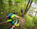 High user pressure: the Isar trails in the south of Munich.