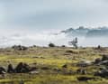 The brothers Valentin and Johannes spent the summers of their childhood on the Ritten. The trails were their playground.