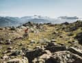The Ritten near Bolzano is perhaps the most beautiful panoramic mountain in South Tyrol.