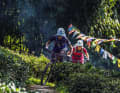 There are countless trails through Darjeeling's tea plantations. Very few of them appear on the maps.