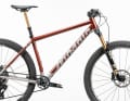 Kunst oder Frevel? Das Mosaic MT-1 Hardtail kommt auf Wunsch mit lackiertem Titan-Rahmen für den extra Wow-Effekt.