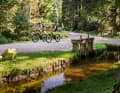 It does get a bit shady in the forest sections. Otherwise, the Mühlviertel mountains are bathed in autumn sunshine. | Photo: TVB Mühlviertel/Justin Berlinger Photography