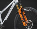 The signature bike costs a good 3100 euros, the frame comes for a good 700 euros.