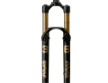 Here with black chassis and gold lettering.