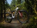 The top model for 12,500 euros comes with Flight Attendant suspension, power meter and transmission gearstick.