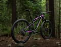 The Giant Anthem Advanced SL SE can boast not only a world championship title, but also this new special colourway.