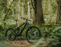 With the Sight VLT Bosch A, Norco is launching a new version of the all-mountain classic, which is intended to offer an affordable entry into the world of Canadian e-MTBs.