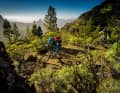 90 Kilometer und 5000 Höhenmeter: Auf einer Gran-Canaria-Durchquerung erlebt man alle Vegetationszonen der Kanaren.