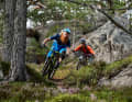 Mountain biking in Norway? The manufacturer Norrøna offers a trip to the trails in the wilderness.
